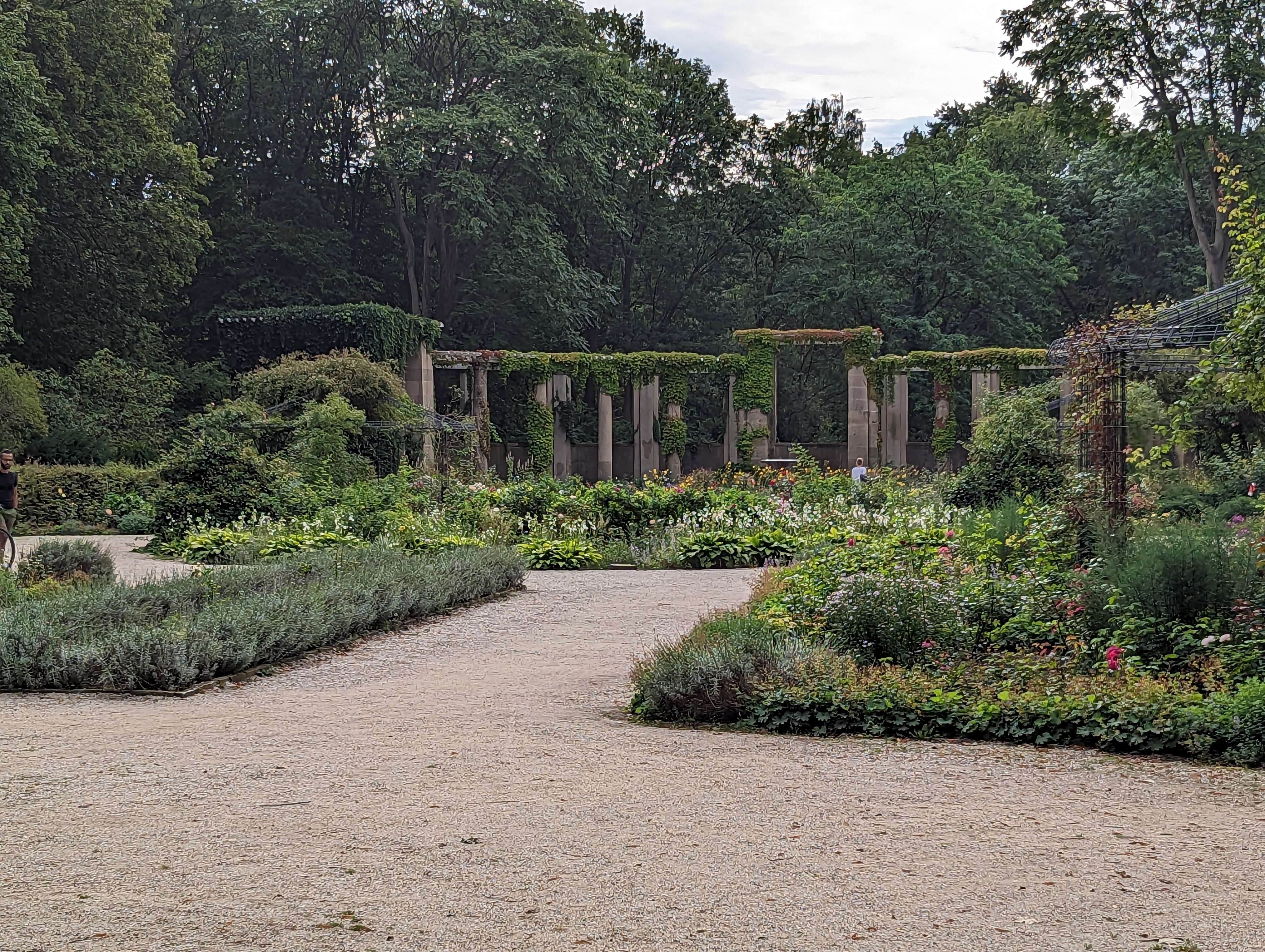 Unrelated image taken in the Tiergartens, Berlin, Germany (that my phone has brutally murdered in cold blood).